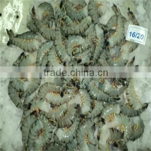 frozen shrimp on the grill