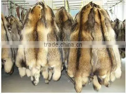100% Natural Genuine raccoon fur skin for garment