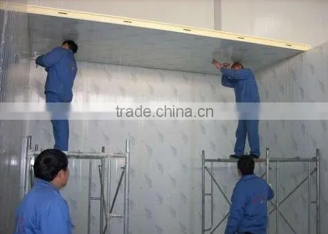 commercial cold room price for storing