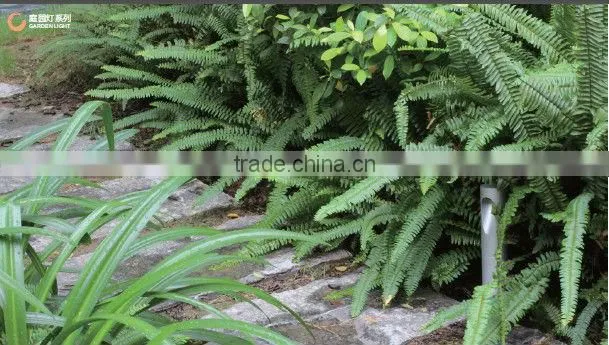 Aluminum IP65 2W outdoor led lawn lamp