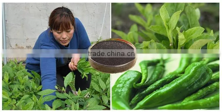 Huminrich Solubility High Quality Increase Vegetable Yield Potassium Humate Fertilizer
