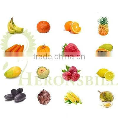 100% natural spray dried strawberry powder for beverage and drinking