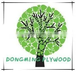 Polyester Plywood/Melamine Plywood/Plastic Plywood