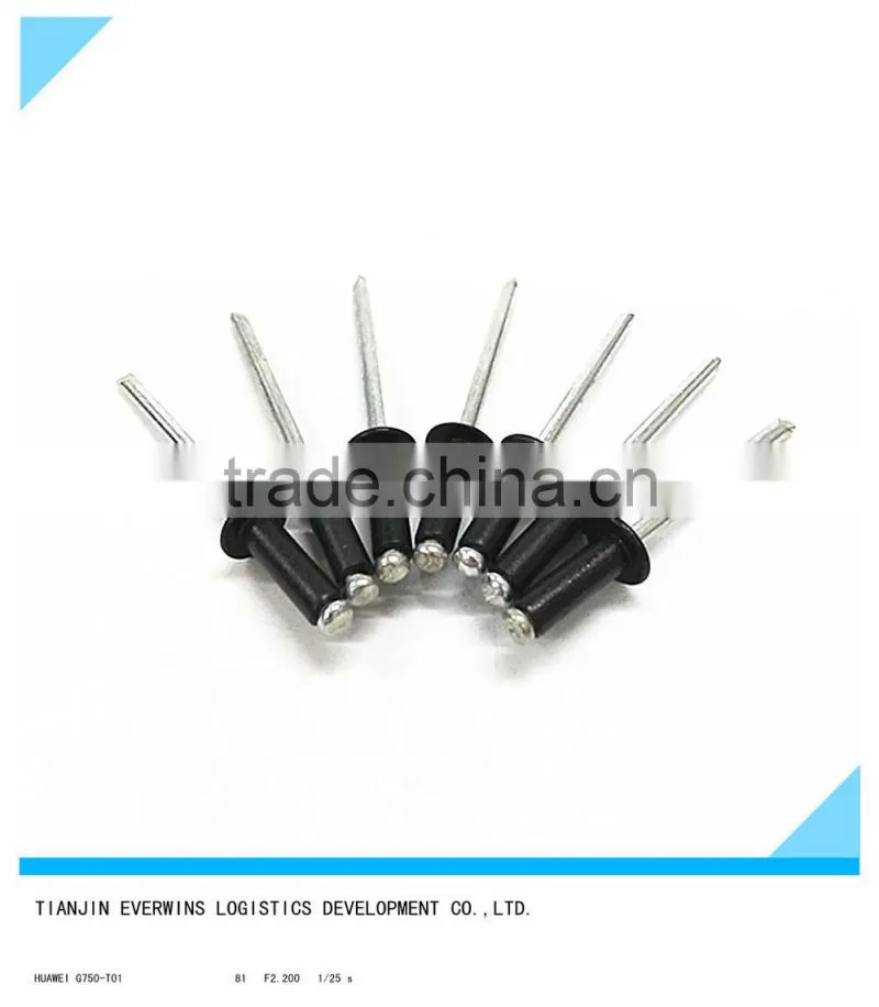 Black color Blind rivet