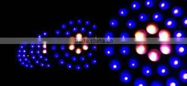 2016Newest High Brihtness stage light 36pcs *10w RGBW LED Moving Head Zoom Light