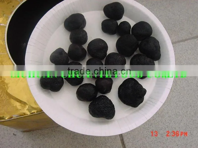 Brined Stropharia Mushroom