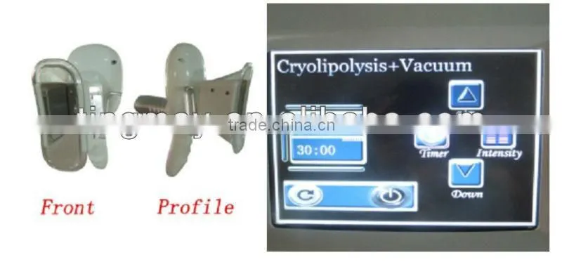 Vertical Cryolipolysis machine therapy venus cryolipolysis fat freezing machine
