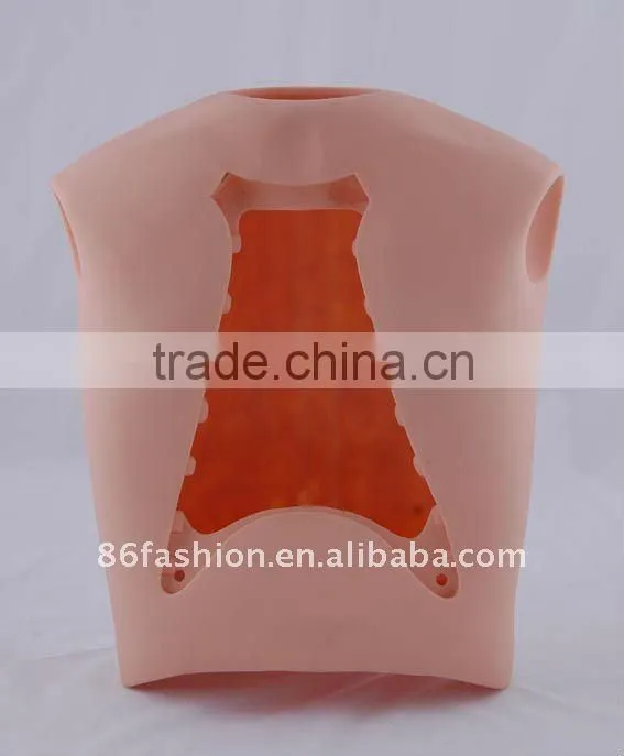plastic medical model