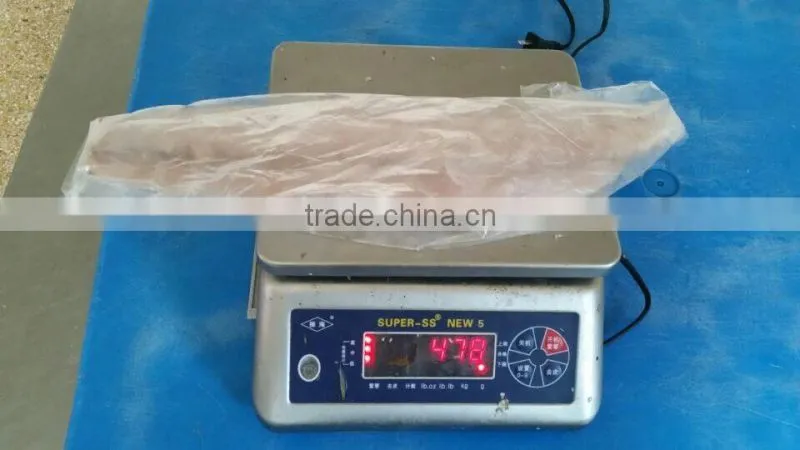 Whole Sale Top Quality Frozen Mahi Mahi Fish Fillet
