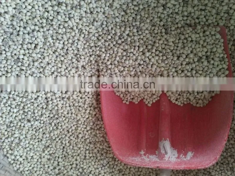 VIETNAM LOTUS SEED, HIGH QUALITY AT RIGHT PRICE