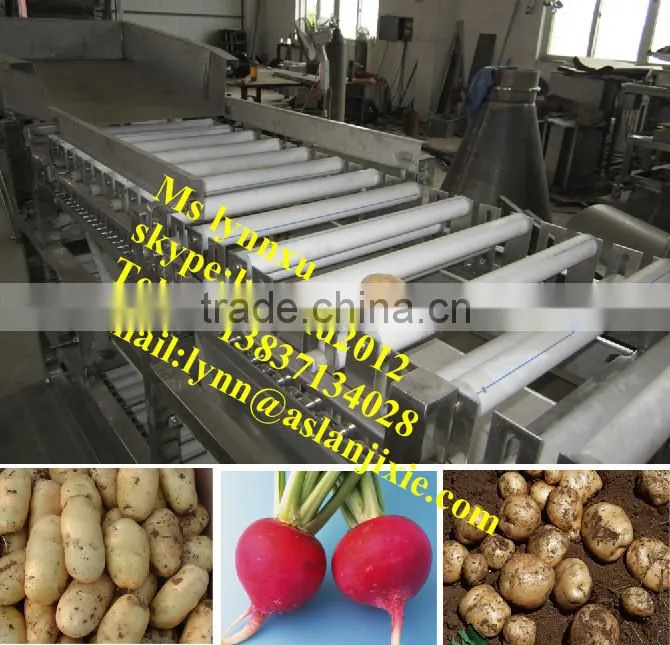 apple size grading machine / fruit polishing sorting machine