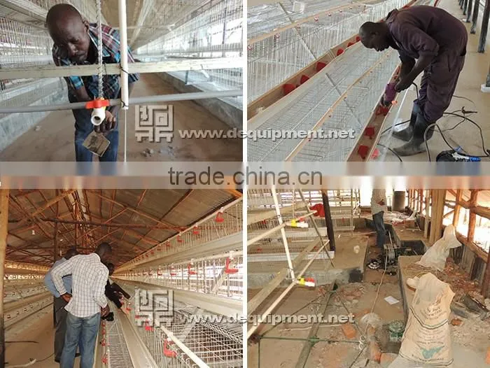 a type automatic battery chicken layer poultry cages for nigeria/africa