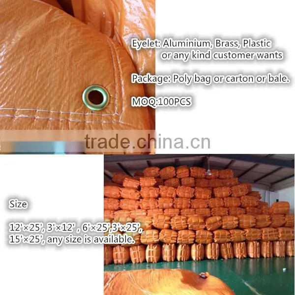 Hot selling reinforced plastic tarpaulin with eyelets pe tarpaulin canvas sheet
