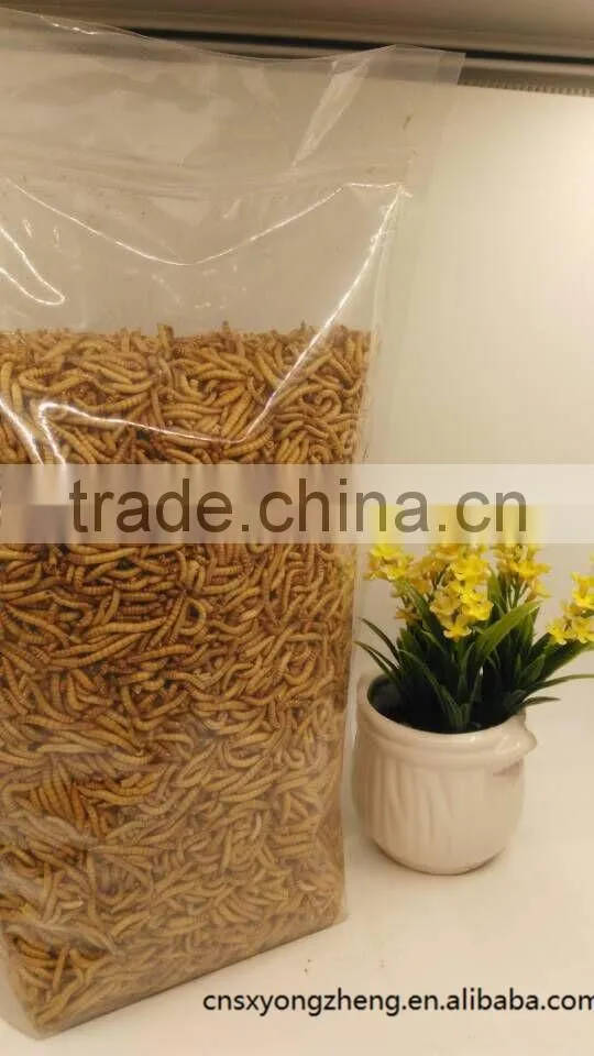 Ornamental Fish Meal,Fish Food,Pet Food Dried Mealworm