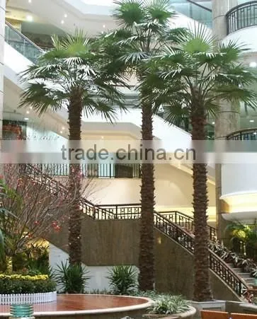 Home garden edging decorative 5ft to 16ft Height outdoor artificial green plastic palm trees EDS06 0836
