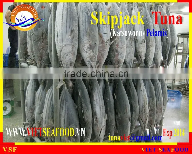 FROZEN W/R SKIPJACK TUNA