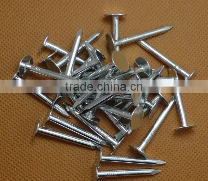galvanized clout nails with flat head/ clout nail roofing nails