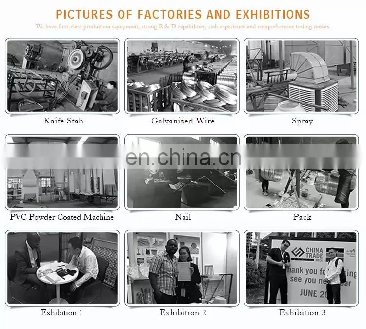 Low price electro Galvanized Flat wrap Razor Barbed Wire fencing