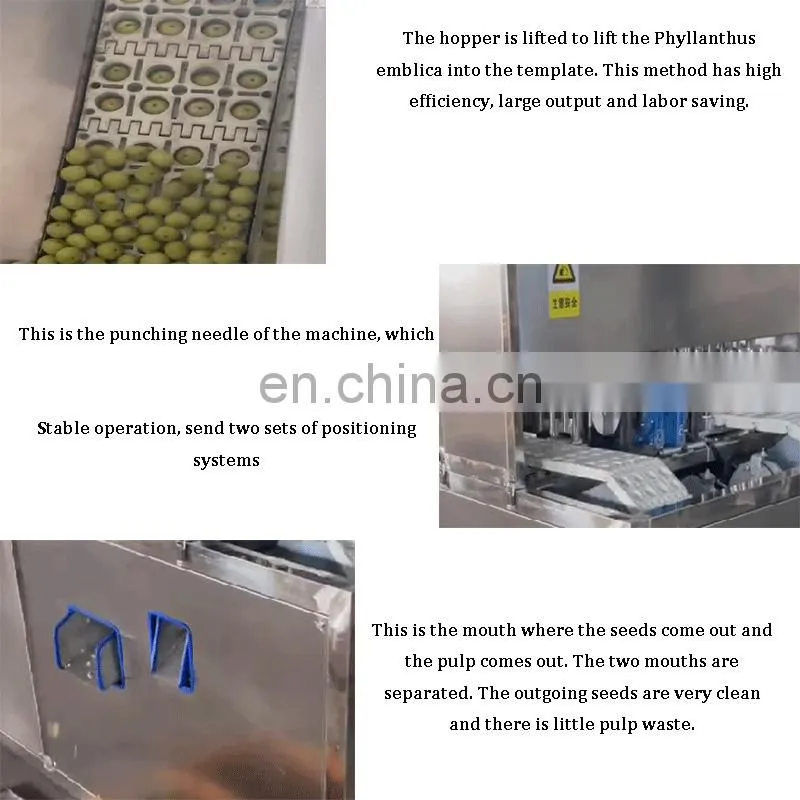 Peach Longan Cherry Sweet Date Olive Prune Destone Cherry Avocado Seed Removing Machine