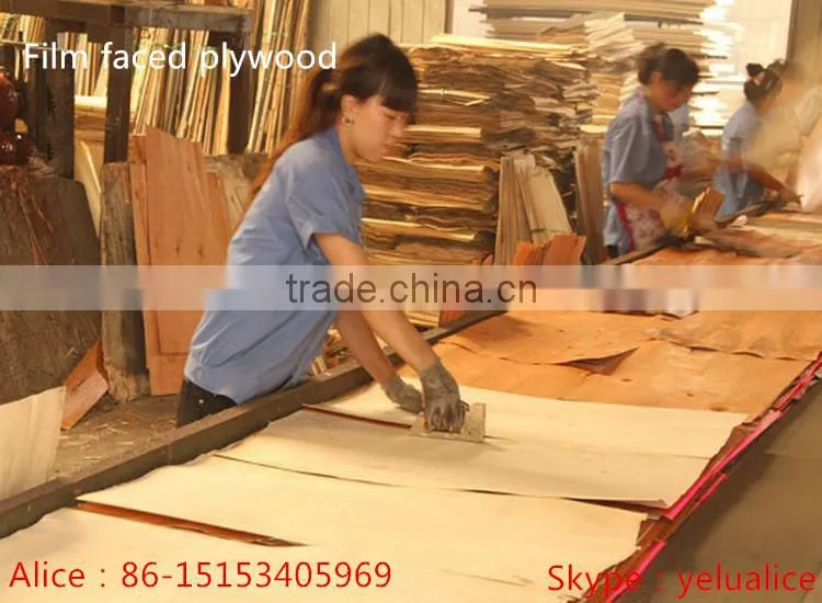 best plywood price /waterproof plywood /plywood sheet