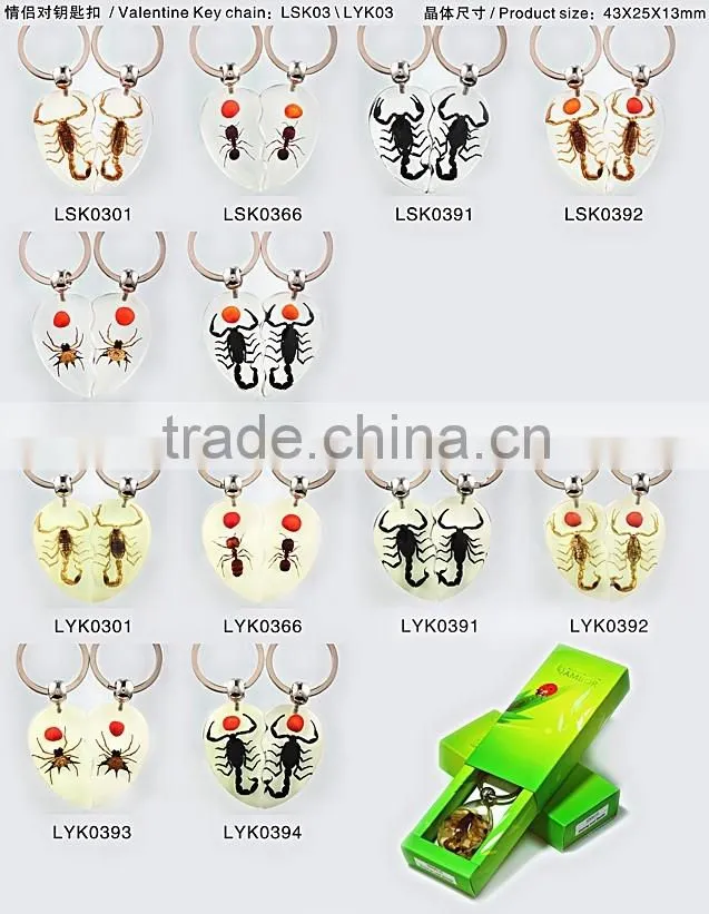 2016 new keychain with real insect