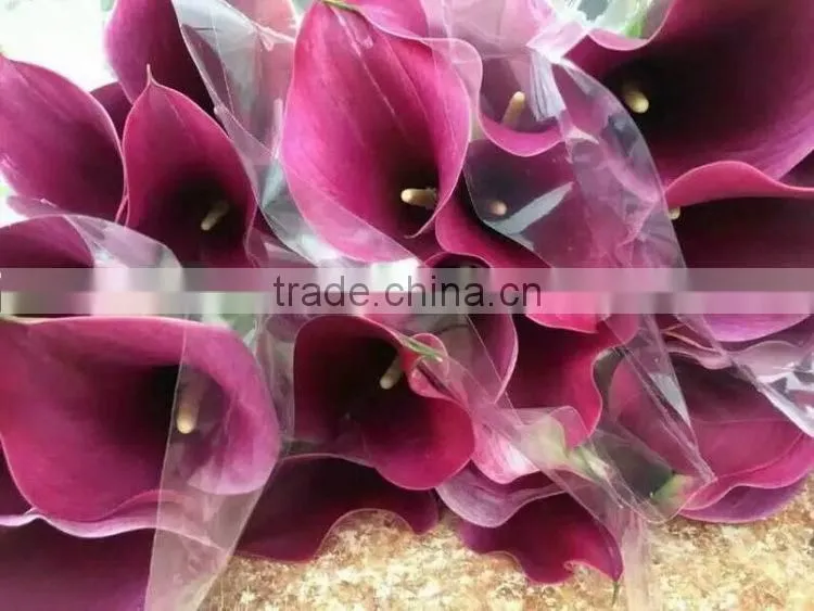 High grade new coming decoration calla lily flower
