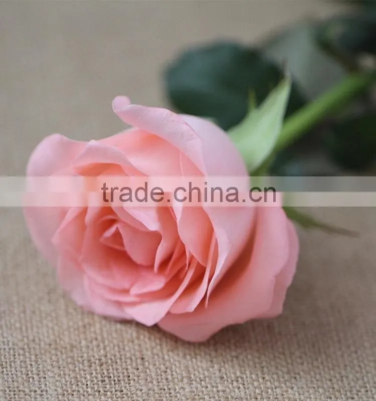 Colorful Diana fresh roses decoration