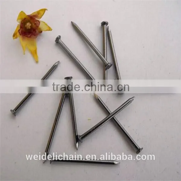 Construction Wire Nails Supplier/Wire Nail Price