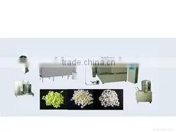 Instant Rice/Nutritional Rice Food machine Line