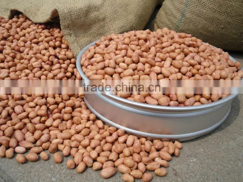 best selling products shelled peanut Maharashtra