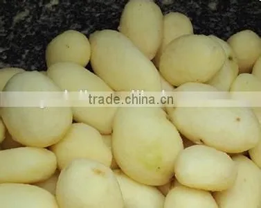 0.75kw High quality commercial potato peeler machine, industrial potato peeling machine