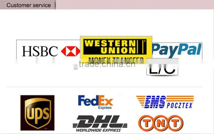 hot new products for 2014 mini DVR 1080P Ambarella Double card alibaba express vehicle blackbox dvr