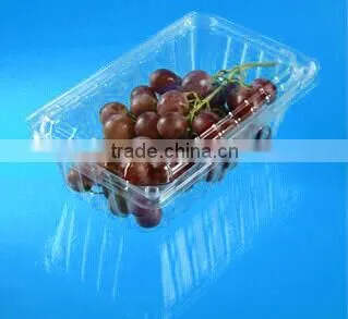 box,container, clame shell box