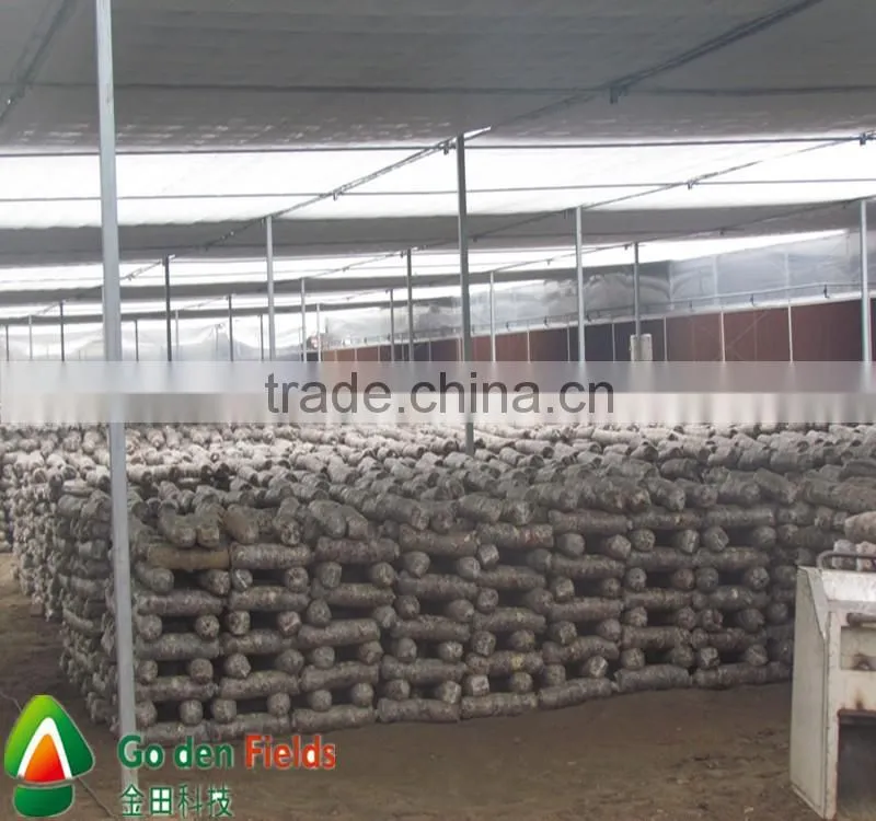Hot Sale High Quality Cultivated Organic Dried Shiitake cultivation rods
