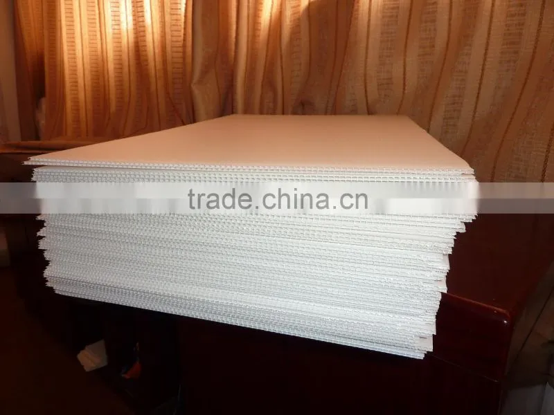 PP plastic hollow SheetW-2