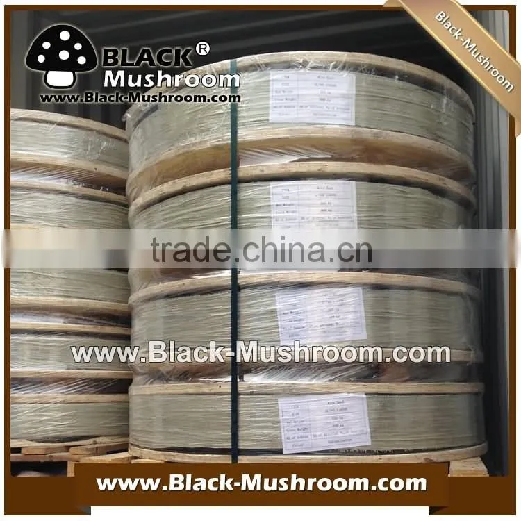 Good quality Lower price galvanized wire band