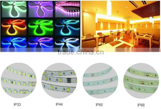 GY5050WW60-Y220 SMD Flexible led strip high power