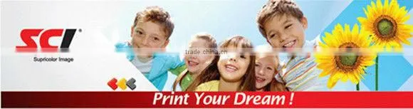 Compatible ink cartridges 363 suitable for the printer HP Photosmart 3100 series