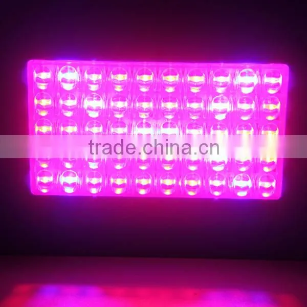 High power led grow light 5 watt * 200 1000w 11 band led grow light