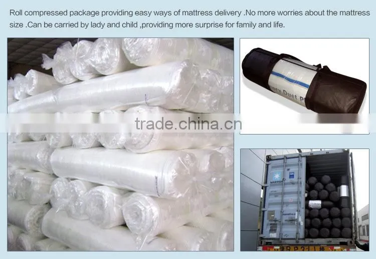 Wholesale Supplier Lurury Vacuum Packed Sleep Well Thin Mattress Pad
