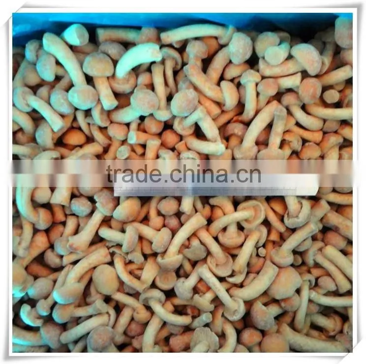 health product/nourishment food /china food mushroom