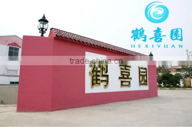 Non-GMO soybeans oil extracts soya lecithin Food Supplement