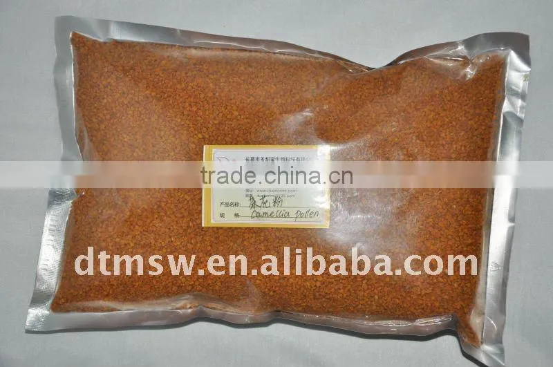 camellia bee pollen powder hot sale in America