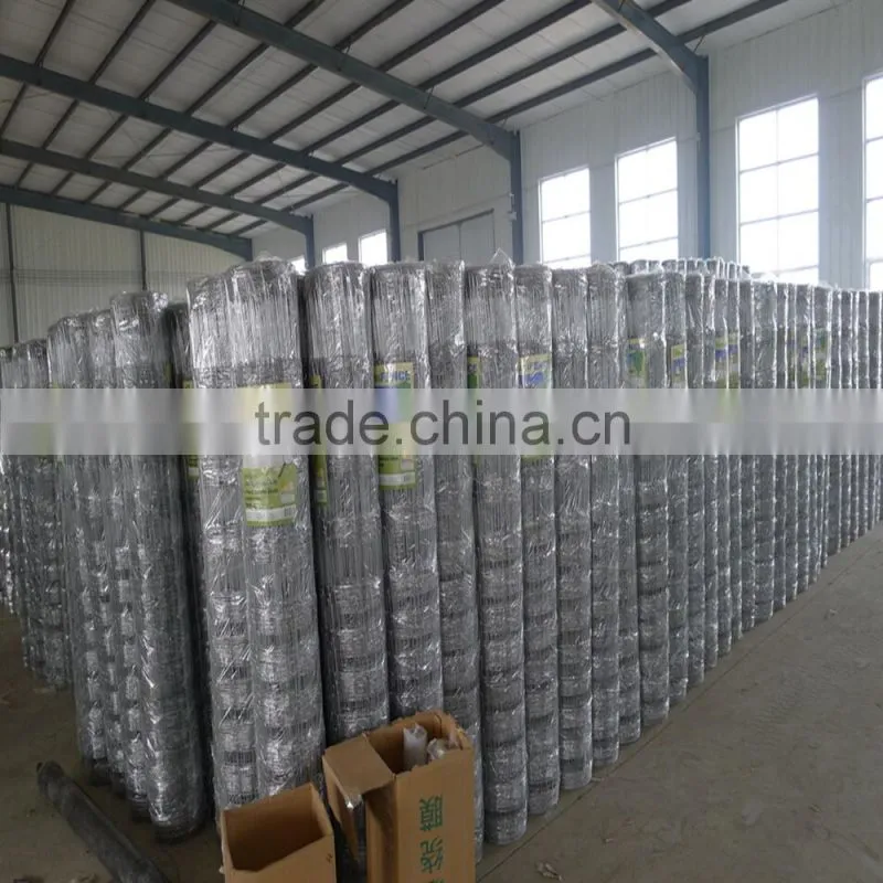 Anping Deming produce crosslock knot Field fence