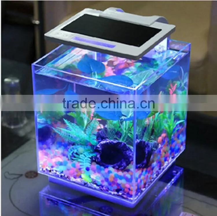 Pleasing Glass Aquarium Fish Tank