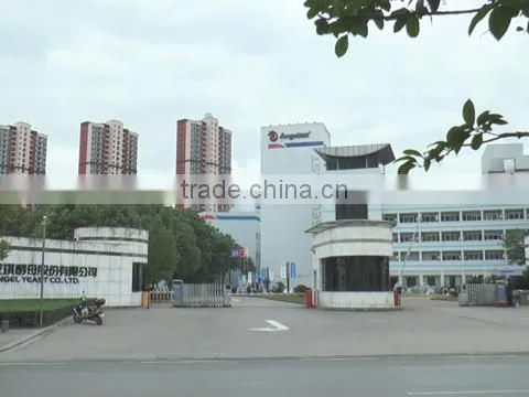Angel Yeast Co., Ltd. company overview - view 1