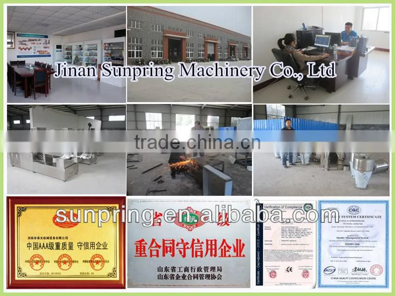 Extruded Instant Artificial Nutritional Rice Processing Machine