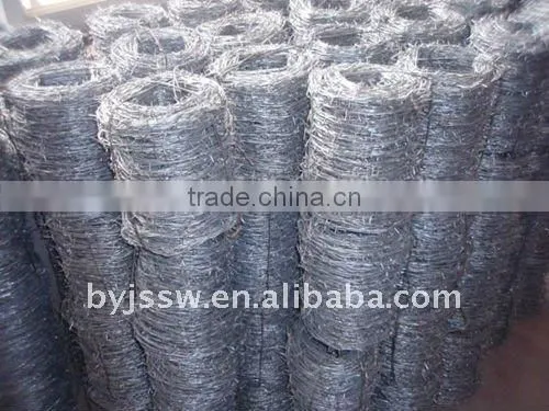 Galvanized Steel Coiled Barbed Wire ( Direct Factoty )