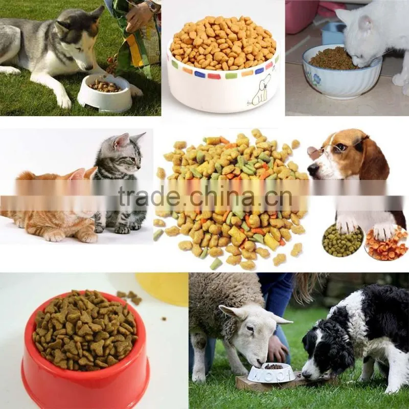 DGP-60 floating fish feed pellet machine for sale