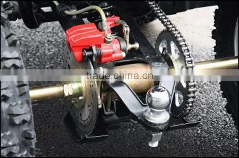250cc EEC utility ATV with New INTEGRATED LED Turning Lights (TKA250E-4B)